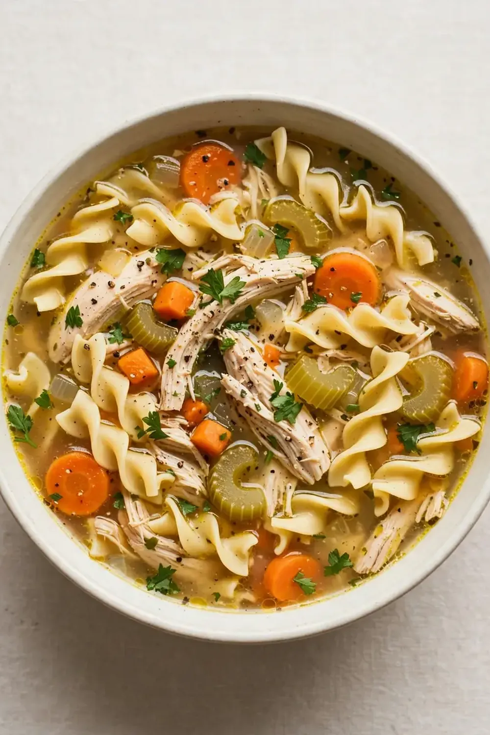 Crockpot Chicken Soup with Noodles